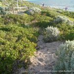 Iluka Foreshore.