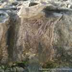 Iluka Foreshore.