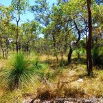 Duckpond Reserve