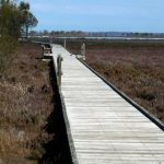 Boardwalk view.