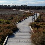 Boardwalk view.