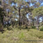 Cardup Bushland