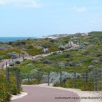 Iluka Foreshore.