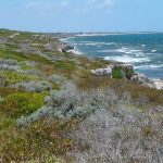 Ocean Reef Foreshore.