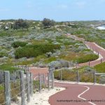 Iluka Foreshore Path.