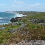 Iluka Foreshore.