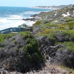 Iluka Foreshore.