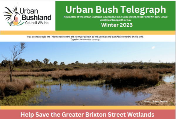 Winter2023 cover UBT