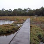 The boardwalk.