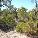 Rehabilitated bushland.