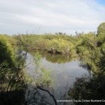 Spectacles lake