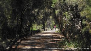 Baigup Nature Reserve.