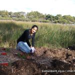 Lake Claremont bushland rehabilitation volunteering.