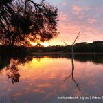 Lake Claremont sunset.