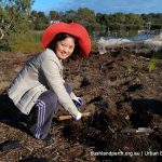 Lake Claremont bushland rehabilitation volunteering.