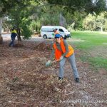 Lake Claremont bushland rehabilitation volunteering.