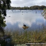 Lake Claremont - a tranquil moment.