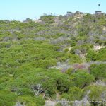 Cape Peron Emplacement.