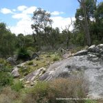 Granite outcrop.