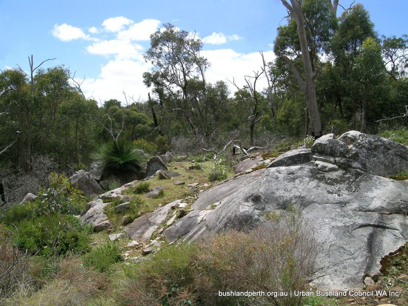 Bungendore Park Urban Bushland Council WA