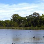 Lake Claremont View.