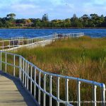 Lake Richmond throbolite boardwalk.