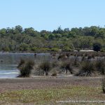 Lake Thomson.