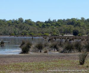 Lake Thomson.