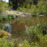 The primary treatment sump; sediment capture.