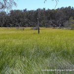 Ayres Bushland.