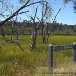 Ayres Bushland signage.