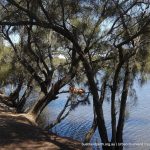 View along the Swan River.