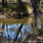 One of the saltwater back lagoons.