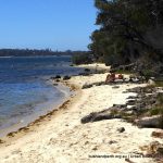 Secluded beaches along the Reserve.