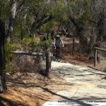 The main formed path along the Reserve.