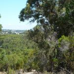 View from Tamworth Hill.