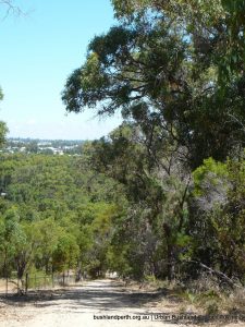 View from Tamworth Hill.