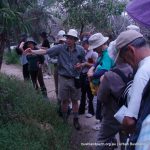 Robert Powell describing Native Pellitory.