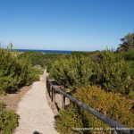 View to ocean.