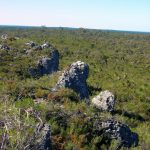 Yanchep NP Rose Lookout.