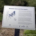 Interpretive signage.