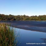 Yanchep NP.