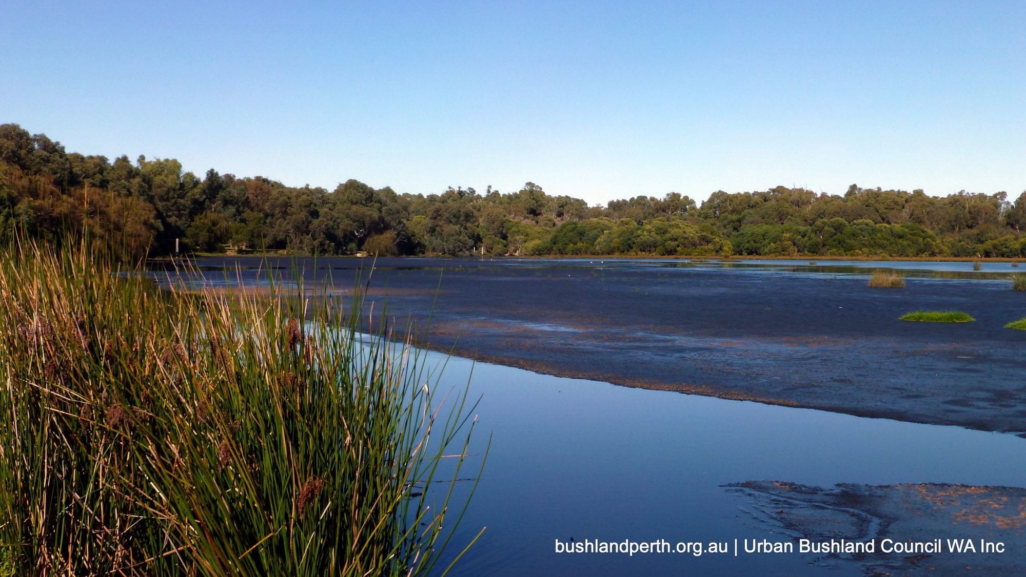 Yanchep NP.