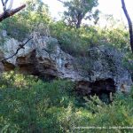 Yanchep NP.