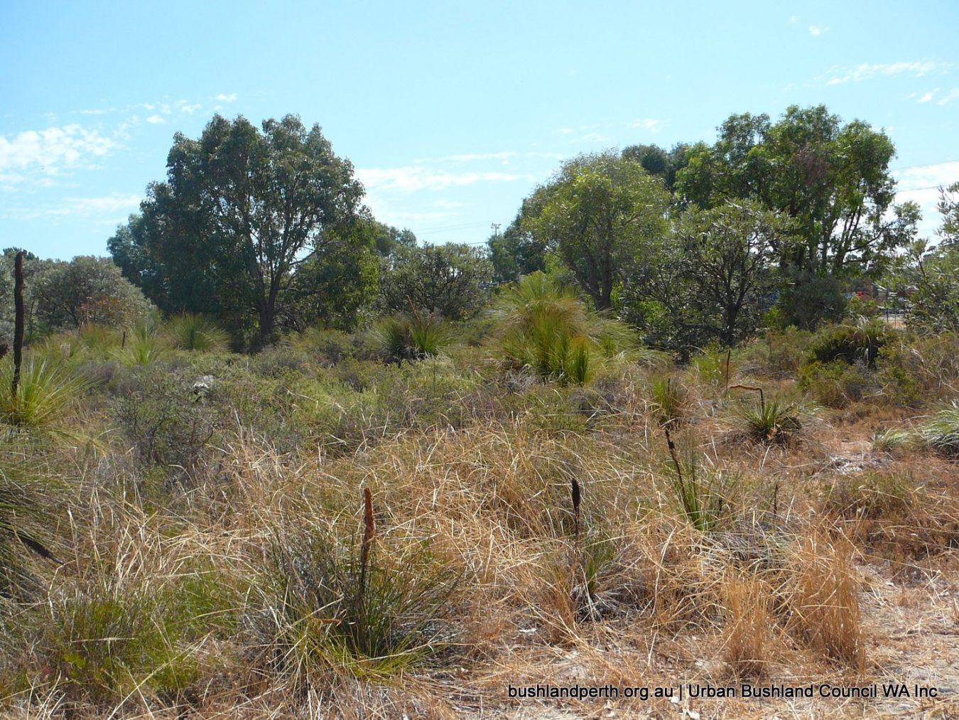 Threats to Bushland - Urban Bushland Council WA