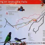 Lesmurdie Falls - Mundy Regional Park.