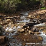 Lesmurdie Falls - Mundy Regional Park.