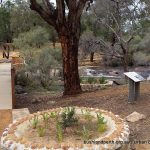 Renovated Picnic Area.