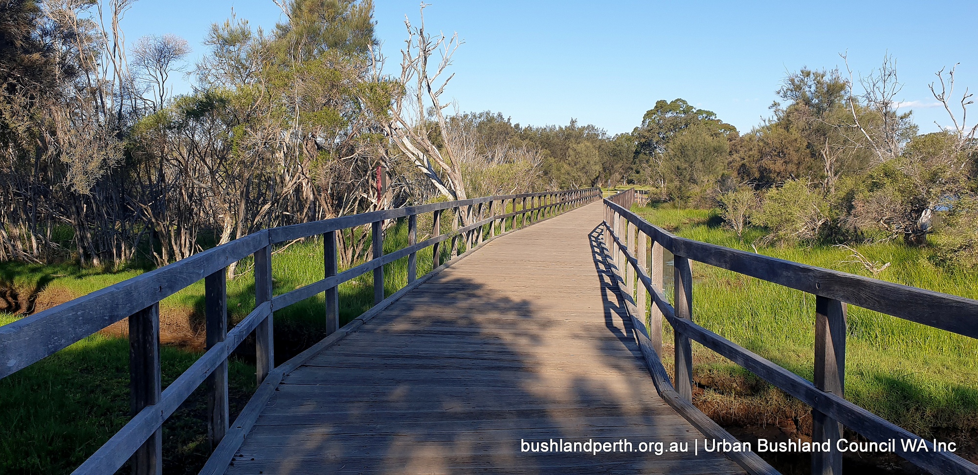 Ashfield Flats Urban Bushland Council WA
