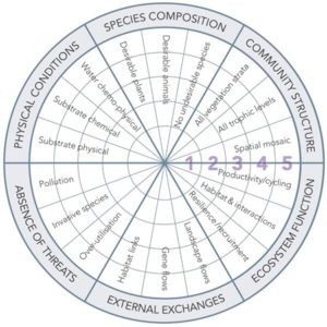 tool designed to assist restoration manager in evaluating the degree to which the ecosystem under treatment is recovering over time National Standards for Ecological Restoration